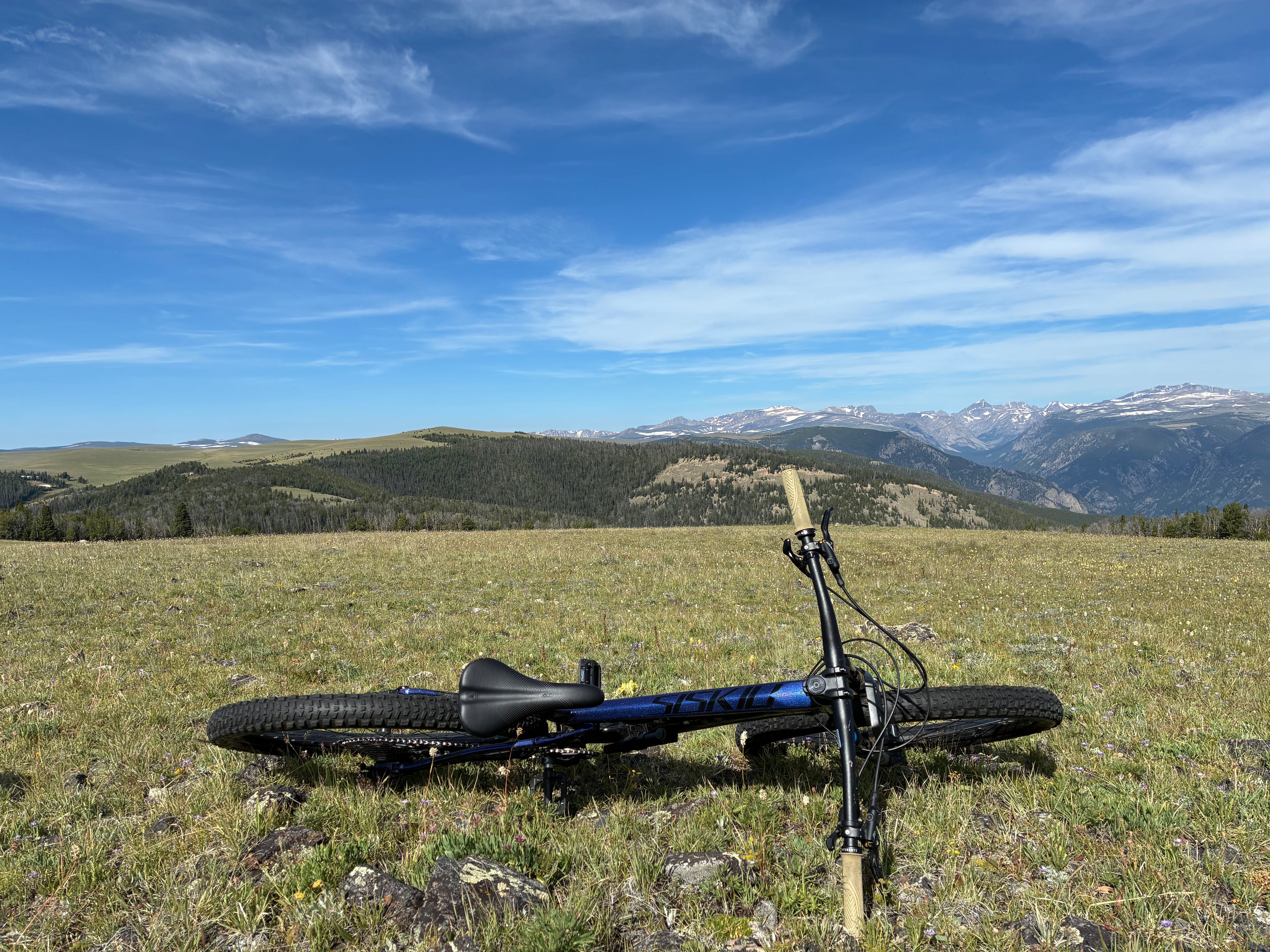 Bicycle lying on its side in a grassy field with mountains in the background